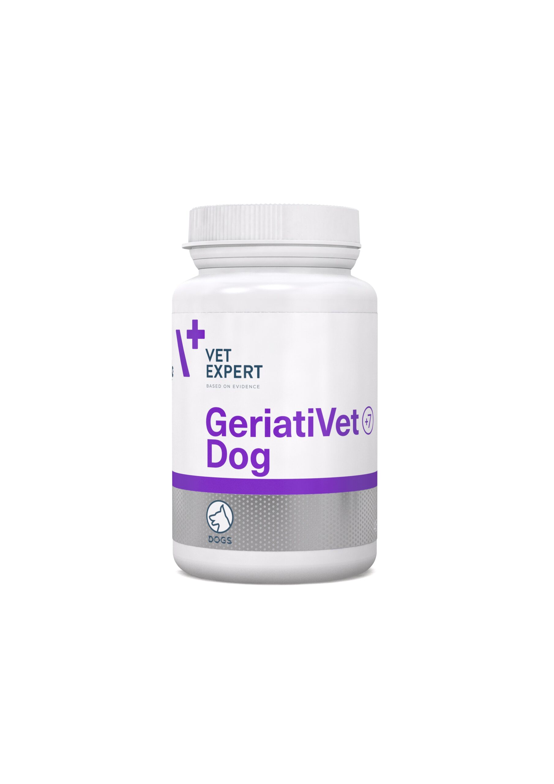 GeriatiVet_dog_20231012-Kopiowanie-scaled
