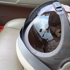 Контейнер-переноска и лежак 2в1 для домашних животных (кошек, собак, кроликов)