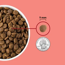 ACANA Highest Protein Indoor Cat 1000x10005