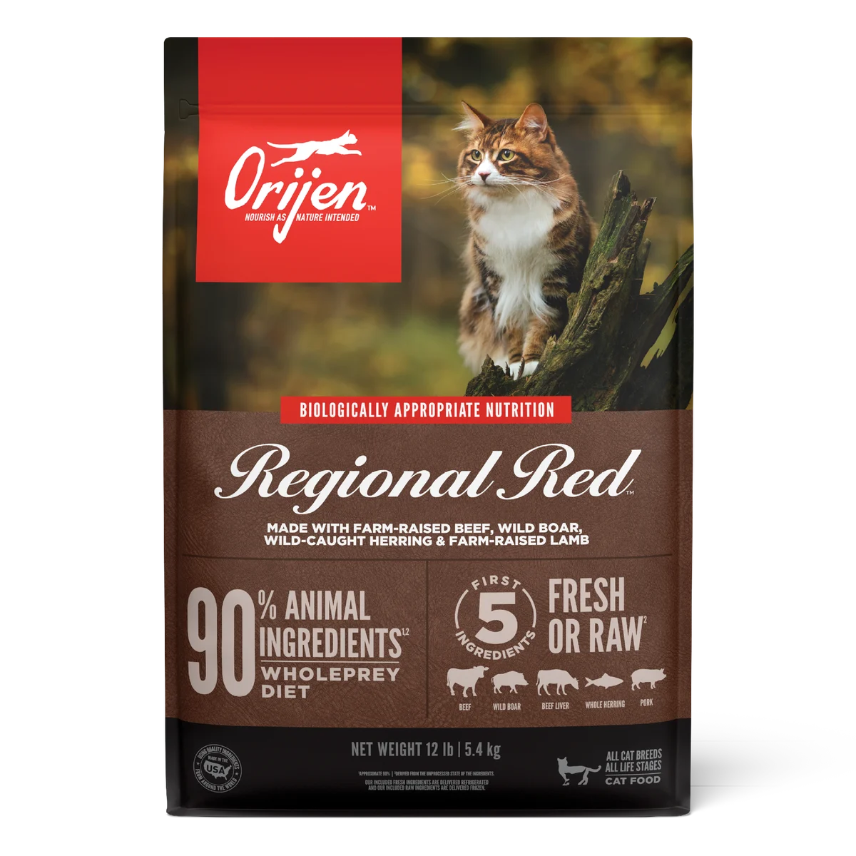 ORI Cat Regional Red PDP-1A